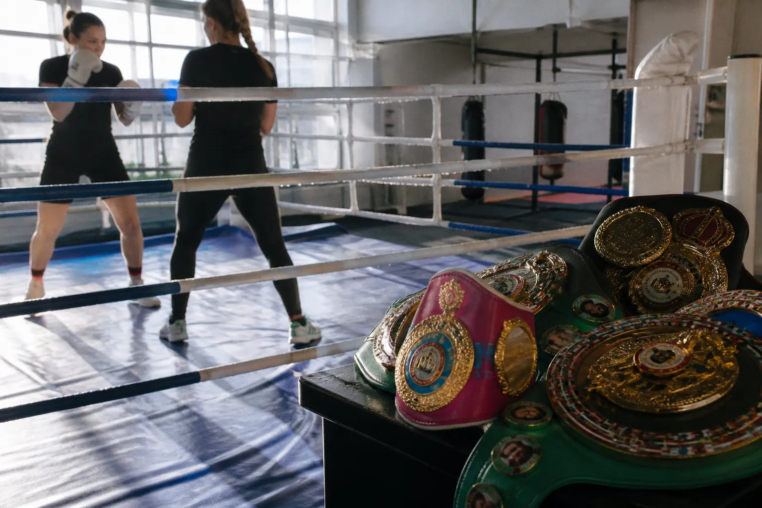 Актуальный список чемпионок мира по боксу: все обладательницы поясов WBA, WBC, IBF и WBO