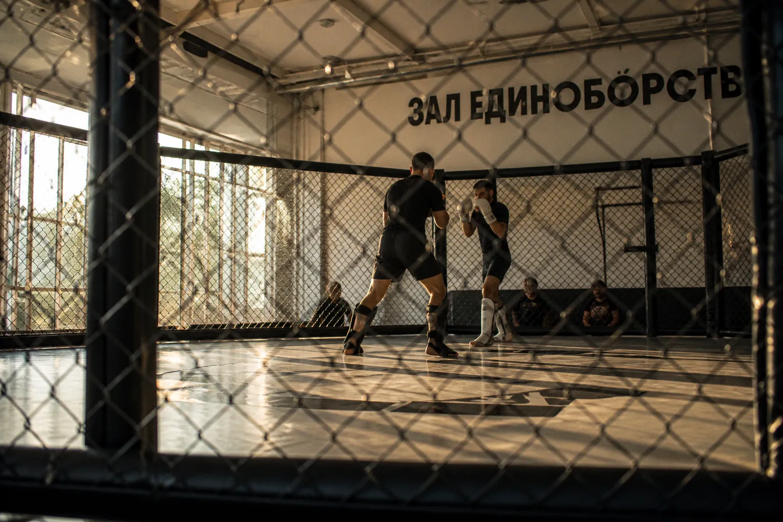 Анализ медийного освещения турниров Bedroc MMA: как читать локальные новости