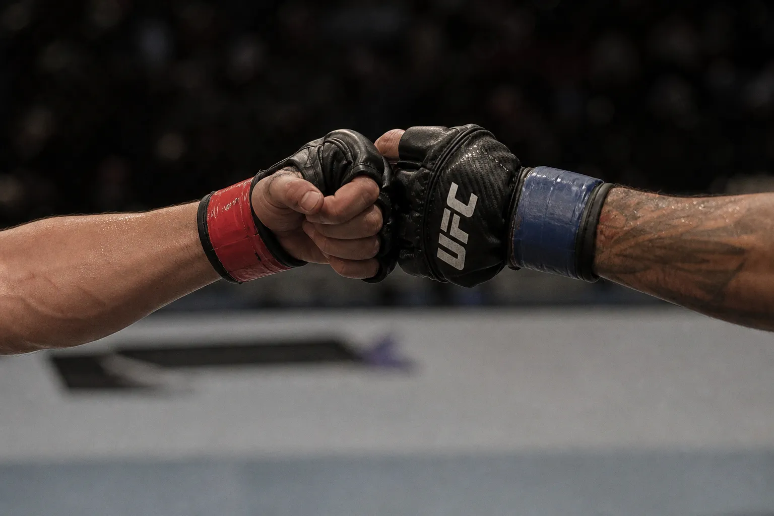 Арман Царукян и Чарльз Оливейра готовятся к реваншу на турнире UFC 331
