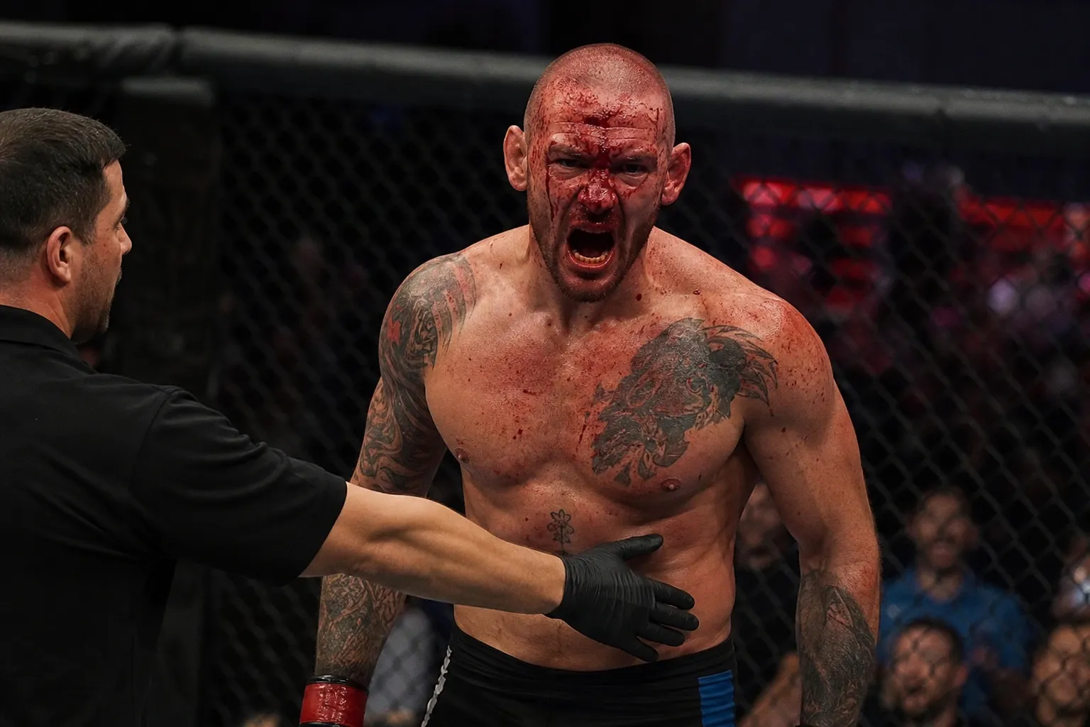 Чемпион по боксу избил бойца UFC, но проиграл удушающим приёмом