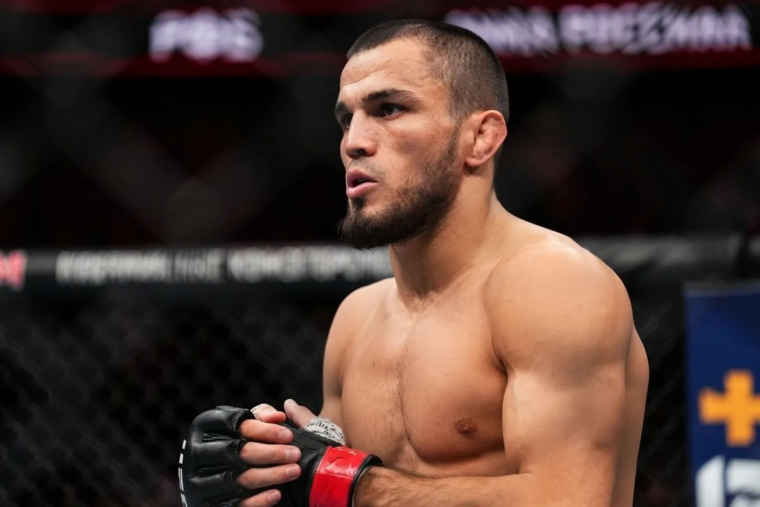 Экономика ММА: почему лишь единицы бойцов UFC выходят на высокие гонорары