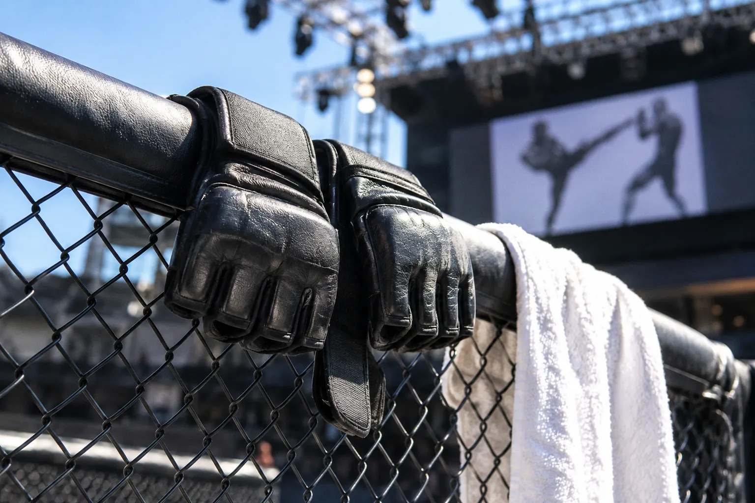 Главные бои UFC и бокса 12 сентября: расписание и расклады на вечер