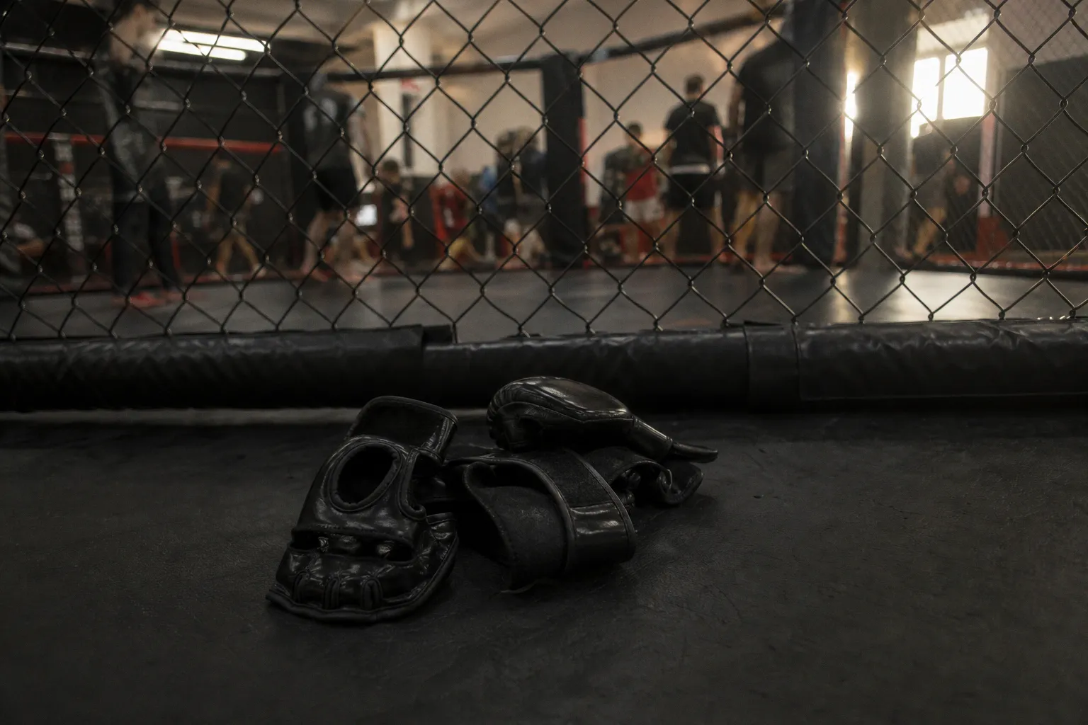 Обан Эллиотт против Майкла Оливейры на дебютном турнире UFC в Сербии: разбор шансов бойцов