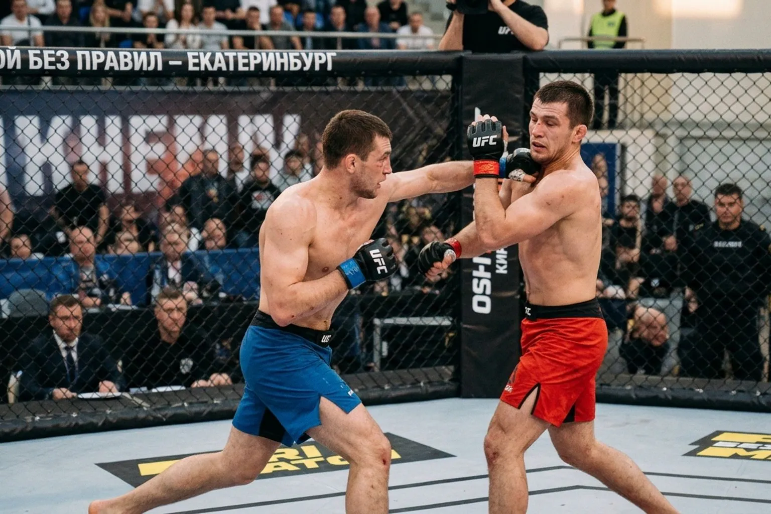 Почему откровенность Шона Стрикленда лишила UFC шансов на реванш с Чимаевым