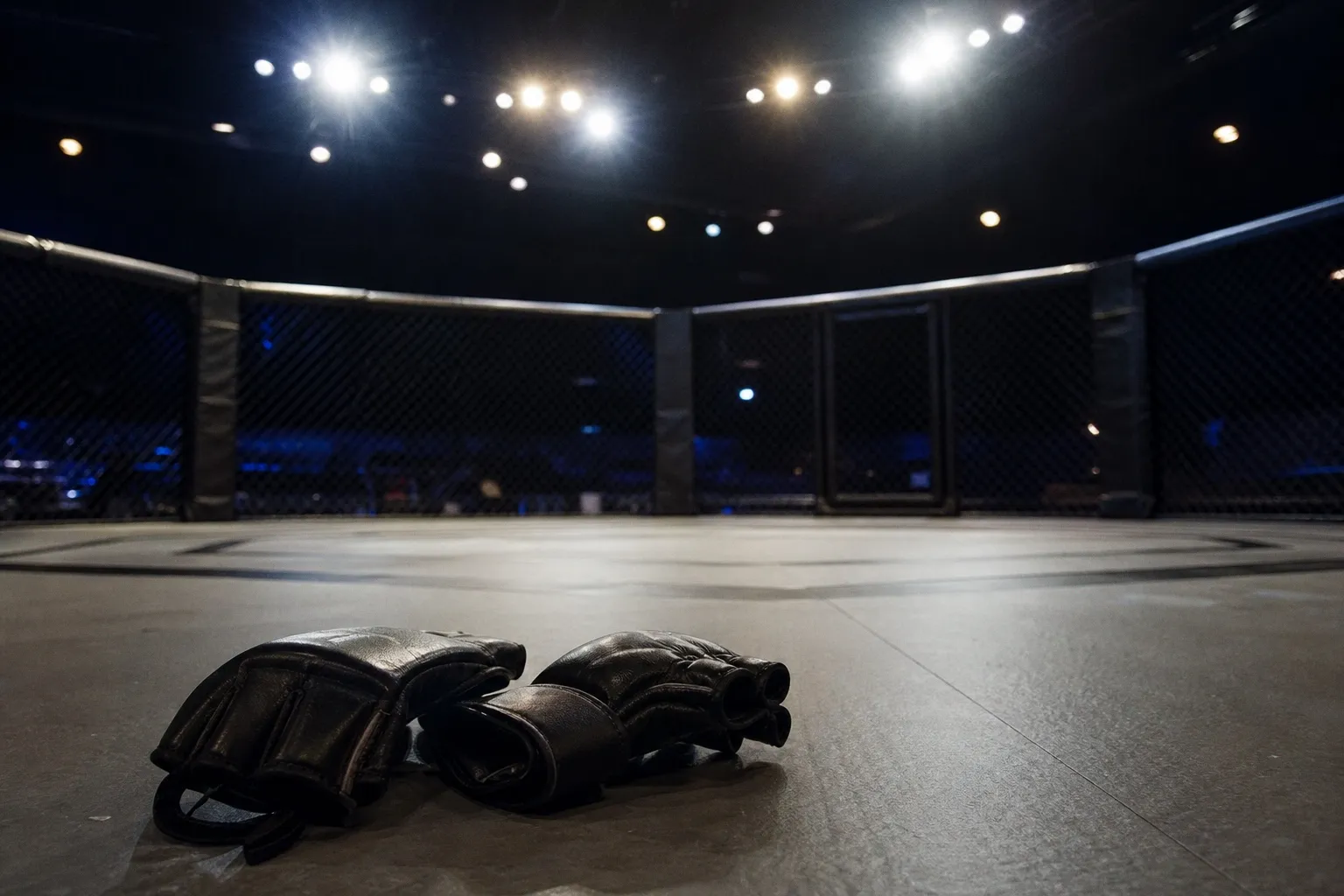 Прогноз на бой Крылов — Уиттакер: шансы бойцов на UFC 329