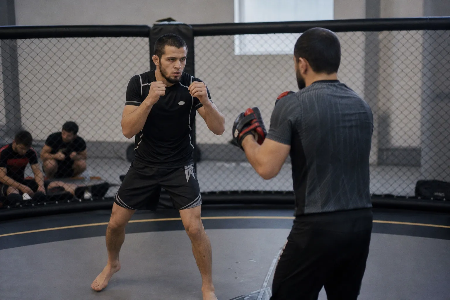 Торосян: Усман Нурмагомедов точно будет в топ-5 UFC